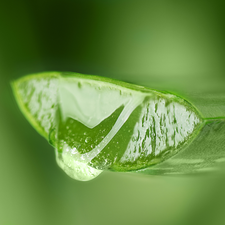 After-Sun Moisturizing Milk - Aloe Vera