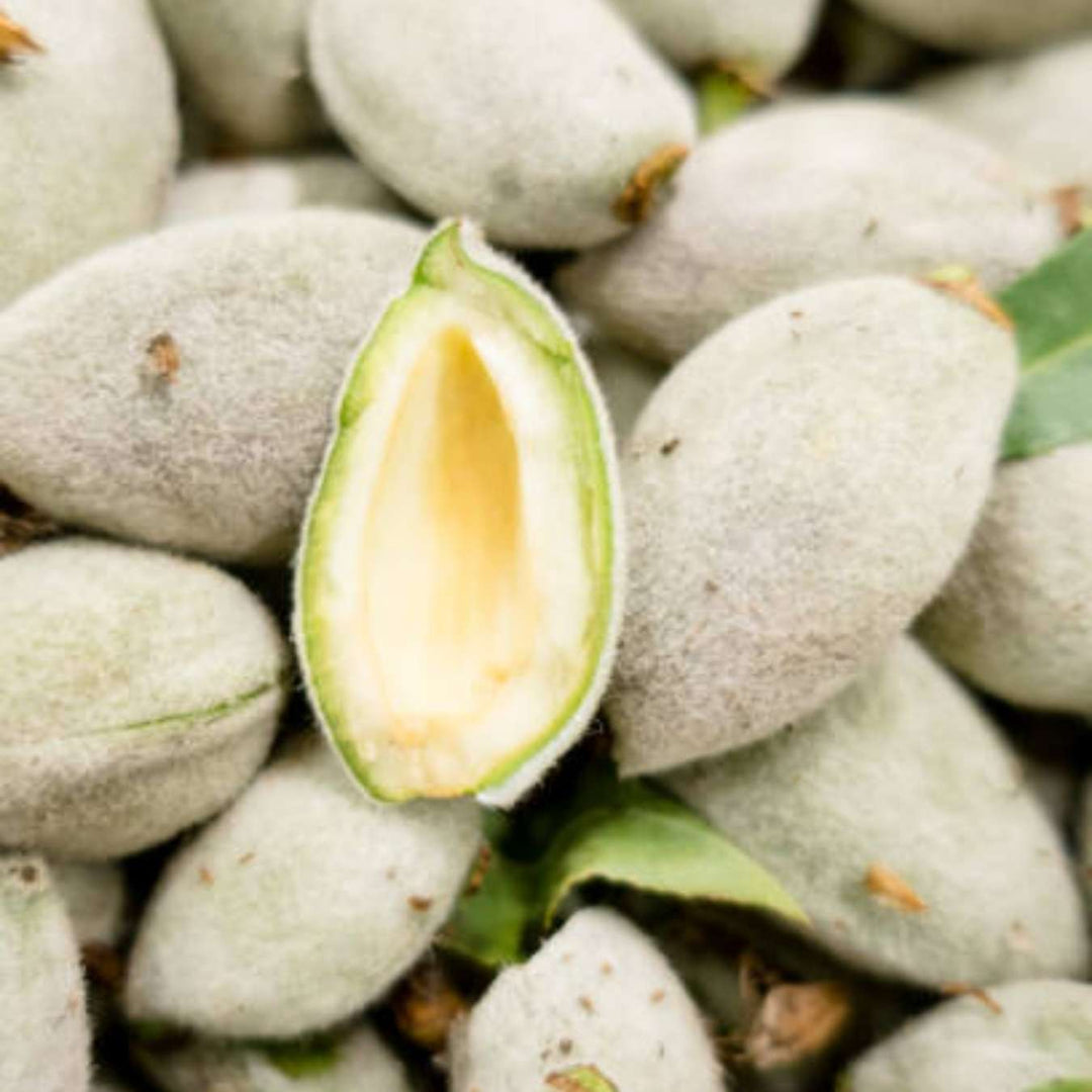 2030027 lovea huile d_amande douce adoucit ingredient