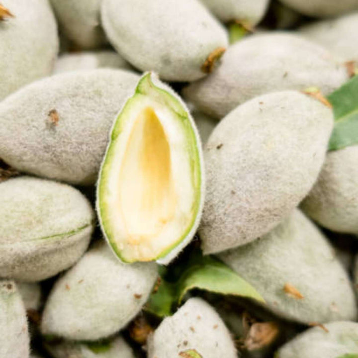 2030027 lovea huile d_amande douce adoucit ingredient