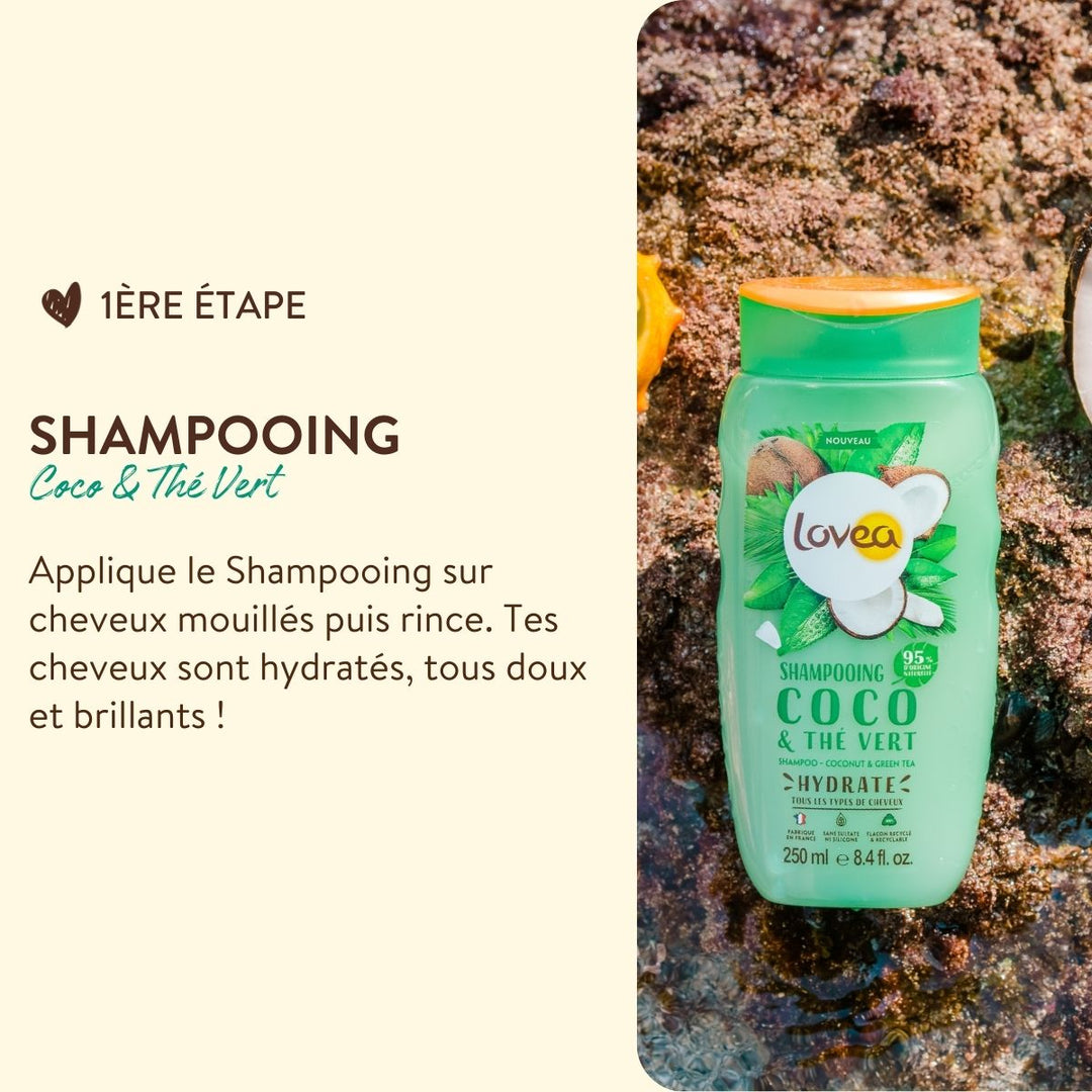 Hair Care Kit - Routine Evasion - Coconut & Green Tea
