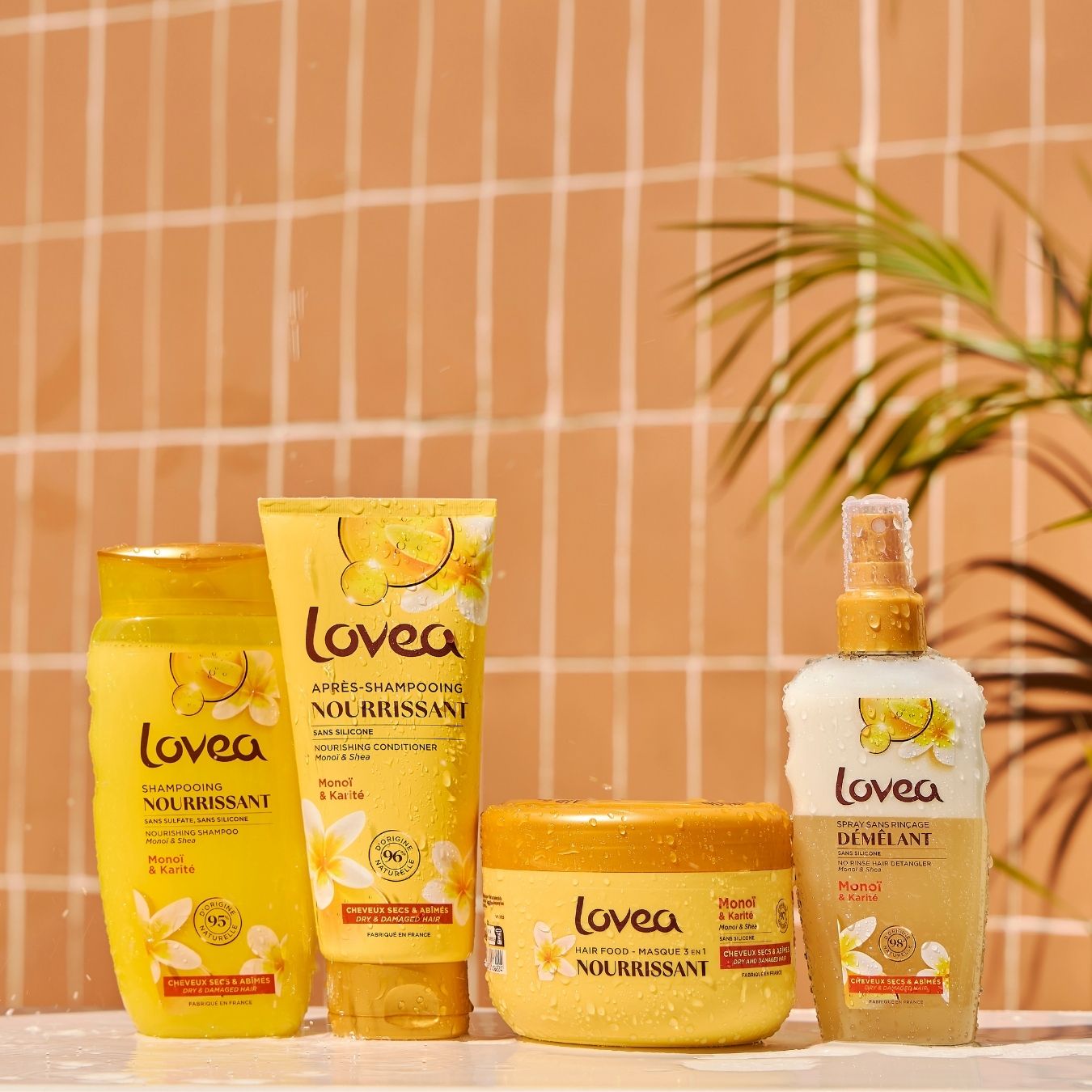 No-rinse hair detangler: monoi & shea spray | Lovea