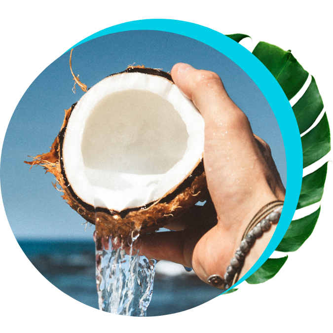 lovea coconut assembly