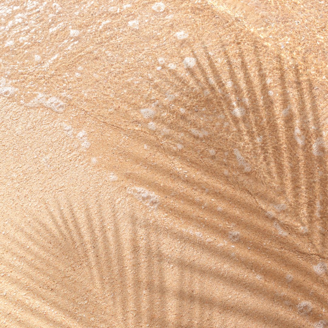 Du sable doré caressé par de douces vagues, et l'ombre des feuilles de palmier qui se dessine à la surface, créant ainsi une scène de plage tropicale et sereine.